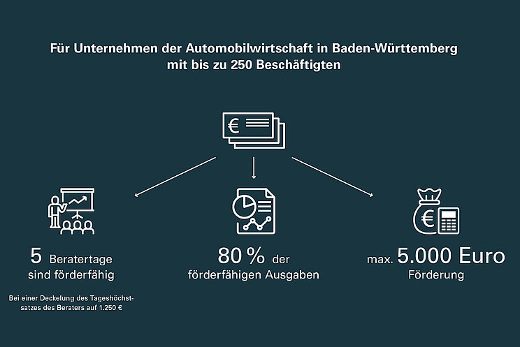 Förderkonditionen: 5 Beratertage, bei Deckelung des Tageshöchstsatz auf 1250€. 80% der förderfähigen Ausgaben. Max. 5000€ Förderung möglich.